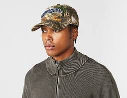 Viviers-les-montagnes?