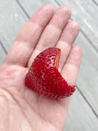 Strawberries for baby led weaning should be washed properly with water three times and finally with white vinegar to kill bacteria. How To Cut Strawberries For Baby Led Weaning Jenna Helwig