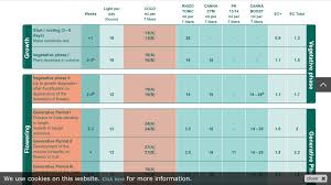 autoflower feeding schedule 420 magazine