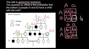 How To Solve Pedigree Probability Problems