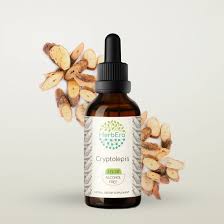 Image result for Cryptolepis apiculata