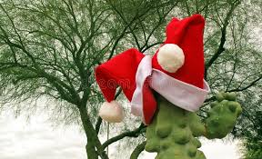 The latest palm springs area news from the desert sun newspaper in the california desert. 7 968 Desert Christmas Photos Free Royalty Free Stock Photos From Dreamstime
