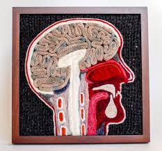 Cruelty Free Knit Anatomy Specimens By Emily Stoneking Knitted Animals Human Head Knitting