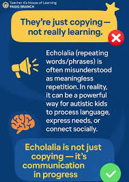 Image result for Echophenomena