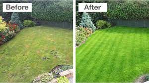 When nitrogen reacts with other factors, it accelerates your lawn's growth, resulting in greener and lusher grass. Lawn Makeover Your Local Lawn Care Specialists Greenthumb Lawn Treatment Service