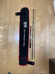 ホットセール Fishman RIPLOUT7.8ML リプラウト ビームス ロッド - magnetics.life