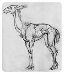 Jaw Cooper Animals Buscar Con Google Art Sketches Animals Character Design