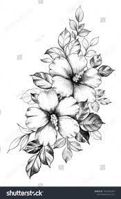 Alle 60 coole, kostenlose tattoo vorlagen für männer und frauen finden sie in diesem. 14 Hibiskus Tattoo Ideen Hibiskus Tattoo Hibiskus Tatowierungen