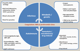 Image result for Liver Function Test Abnormality