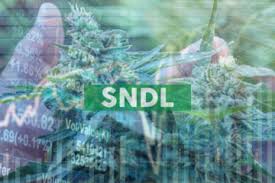 Company profile page for sundial growers inc including stock price, company news, press releases, executives, board members, and contact information. Sndl Weedstreet420