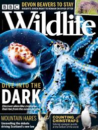 Simply click on the clue posted on wall street journal crossword on october 3 2019 and we will present you with the correct answer. Bbc Wildlife Issue 09 2020