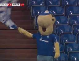 Sead kolasinac of fc schalke 04 looks dejected. Troll Football On Twitter Life Of A Schalke Fan