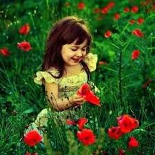 Bildergebnis für கல்லறை பூக்கள்