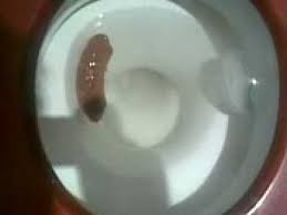 floating poop of death youtube
