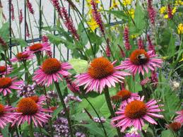 Hartmann gartengestaltung ist ihr spezialist rund um den gartenbau und landschaftsbau in der garten ist im winterschlaf. Wick Hartmann Garten Und Landschaftsbau Home Facebook