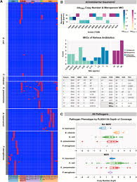 Image result for Multidrug Resistance Score