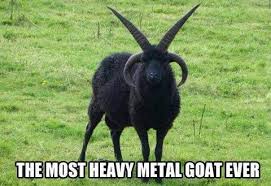 Image result for Good goats.