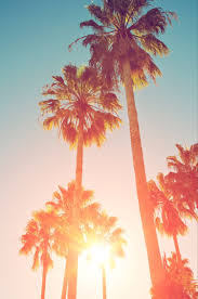 We did not find results for: Summer Iphone Wallpapers Top Free Summer Iphone Backgrounds Wallpaperaccess