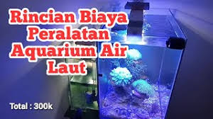 Filter aquarium air tawar, majalahikan.com | siapa yang tak ingin hewan peliharaanya sehat dan selalu menamani hari harinya? Biaya Peralatan Aquarium Air Laut Mini Nano Reef Tank Youtube