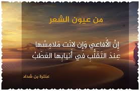 بيت في غاية من الروعة Lockscreen Lockscreen Screenshot Screenshots