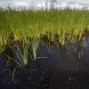 The prevalence of lakes has generated many repeat names. 1