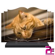 Vous pouvez charger une de vos photos. Plaque Funeraire Personnalisee Paris 1