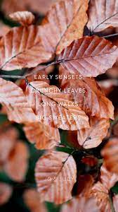 Free Autumn Wallpaper Download Fall Quote By Jo Judy Fall Leaves Pictures Iphone Wallpaper Fall Nature Wallpaper