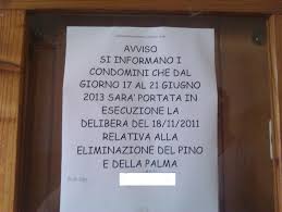 Il primo passo per trattare quasi tutti i problemi legali. San Paolo E Battaglia Per Evitare L Abbattimento Del Pino Interviene Anche L Assessore Barinedita Testata Giornalistica Online