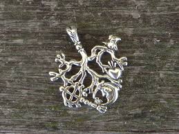 Image result for Triumfetta amuletum