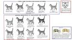 Tabby Cats: All You Need To Know - A Cat Blog