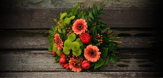 Uma ideia simples de homenagem no Dia da Mulher: pare de ver pornografia |  O mal que eu não quero