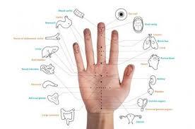 Korean Hand Acupuncture Chart Health Vitality