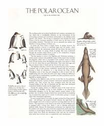 Dougal Dixon After Man A Zoology Of The Future Pdf Zoology Alien Concept Art Dixon