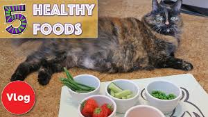 Benefits/drawbacks to cats eating strawberries. 5 Foods You Didn T Know Were Good For Your Cat Vegetables And Fruit That Your Cat Can Eat Youtube