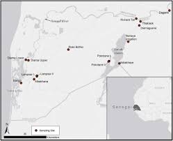 Скачай roberto carlos a volta и roberto carlos a volta esse cara sou eu 2012. Potential Biological Control Of Schistosomiasis By Fishes In The Lower Senegal River Basin In The American Journal Of Tropical Medicine And Hygiene Volume 100 Issue 1 2018