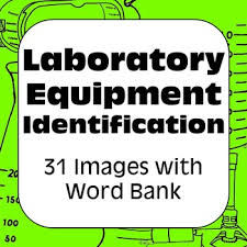 Thirty One Images Of The Most Common Chemistry Lab Equipment Students Match The Name To The Image Word Lab Equipment Middle School Science Lab Science Tools