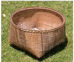 Image result for Isoglossa eliasbandae