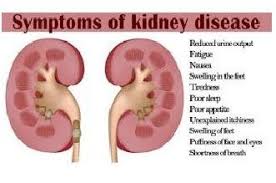 Baghali Kidney Failure Symptoms Kidney Failure Symptoms Kidney Failure Kidney