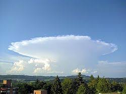 Check spelling or type a new query. Cumulonimbus Wikipedia A Enciclopedia Livre
