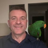 70+ "Patrice Noël" profiles