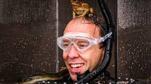 I'm a Celebrity: 'Matt Hancock should let someone else be our MP'