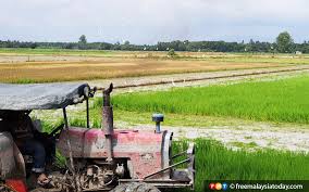 Wafer fabrication for automotive application. Pekan Sawah Padi Bakal Jadi Lapangan Terbang Kulim Free Malaysia Today Fmt