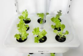 How To Grow Food At Home With An Ikea Hydroponic System Growing Food Indoors Hydroponics System Ikea Hackers