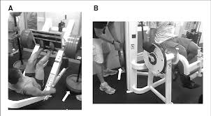 training equipment to allow accentuated eccentric loading