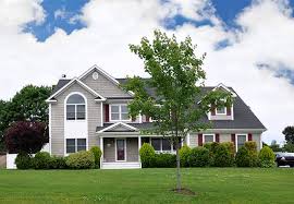 Pest control issues in new york city. Lynbrook Ny Pest Control Parkway Pest Services
