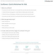 The flower quiz will test your knowledge of different types of flowers, their meanings and trivia about flowers. Sunflowers Quiz Worksheet For Kids Study Com