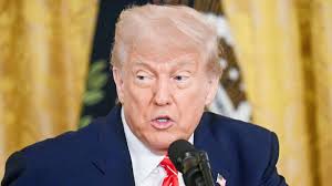 Qué gran honor para nuestro país": Donald Trump felicita a León XIV, el  primer Papa estadounidense