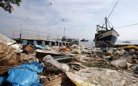 Image result for brazil natural disasters