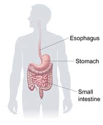 Cancer pain can affect your physical and mental state in many ways. Stomach Cancer Saint Luke S Health System