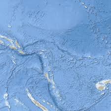 Image result for Emilia pseudactis